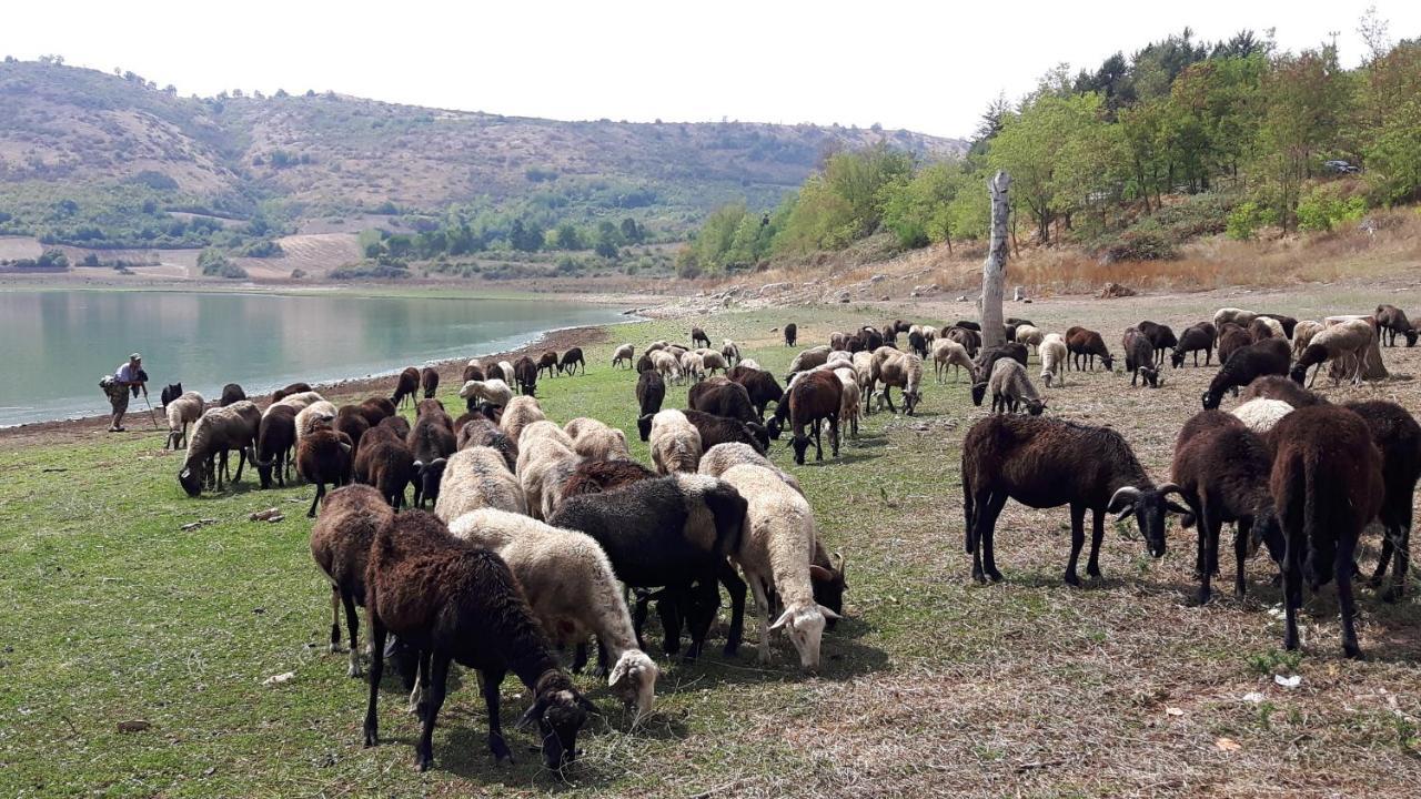 Appartamento Fiuggi Terme Kültér fotó